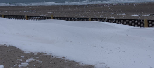 Strand am 30.1.2014 in Dahme